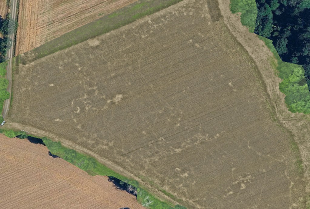 dégâts de gibier drone